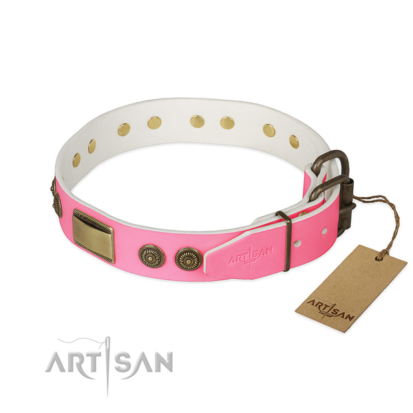 Rust resistant studs on daily walking dog collar