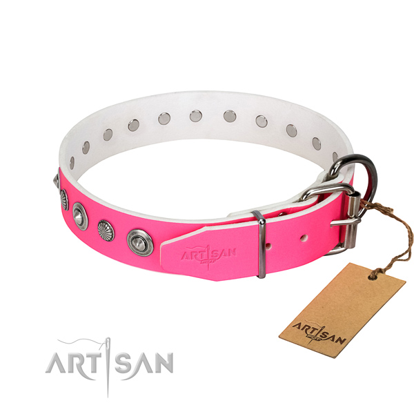 Top quality leather dog collar with trendy studs