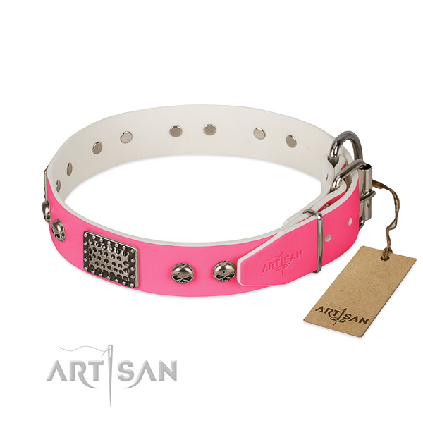 Rust resistant hardware on easy wearing dog collar