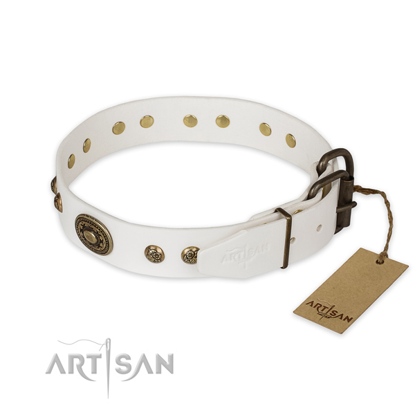 Corrosion proof traditional buckle on full grain genuine leather collar for everyday walking your pet