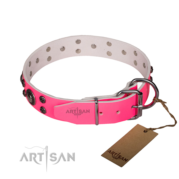 Comfy wearing decorated dog collar of quality full grain leather
