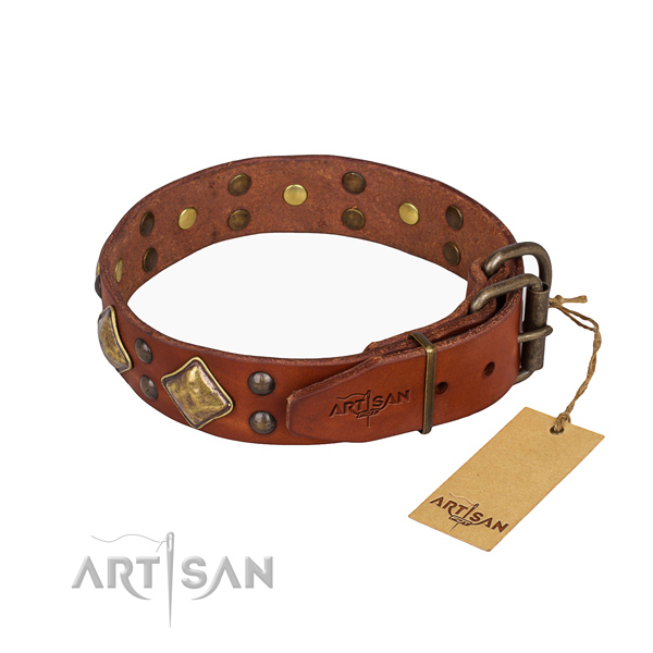 Full grain leather dog collar with amazing corrosion resistant embellishments