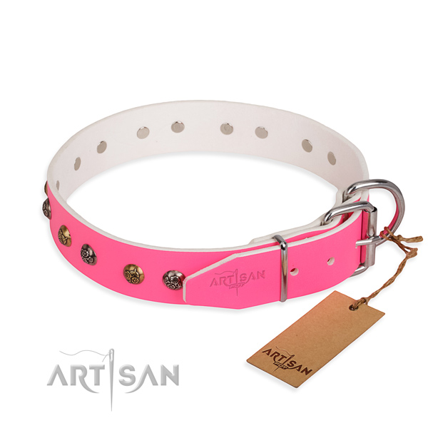 Full grain genuine leather dog collar with exceptional reliable studs