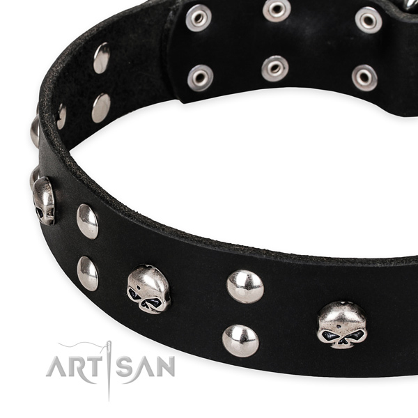 Basic training adorned dog collar of reliable genuine leather