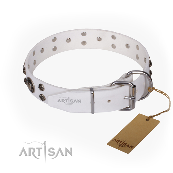 Everyday use decorated dog collar of quality full grain leather