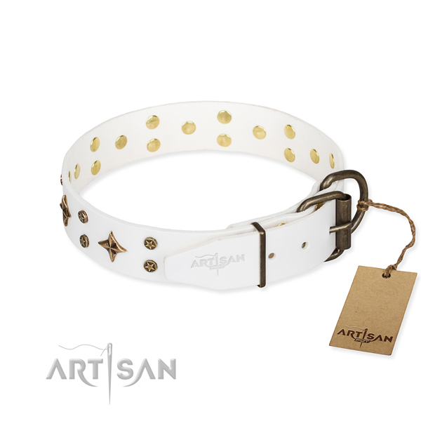 Everyday use decorated dog collar of top quality natural leather
