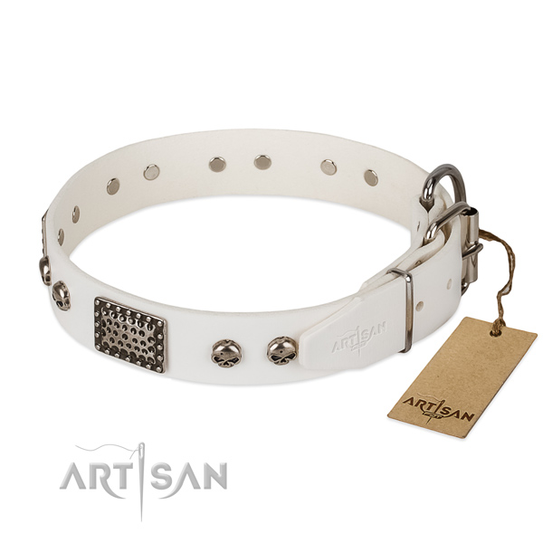 Reliable studs on everyday walking dog collar