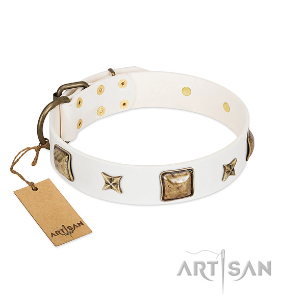 Stunning full grain leather dog collar for handy use