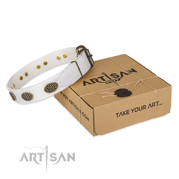 Corrosion proof traditional buckle on genuine leather collar for your stylish pet