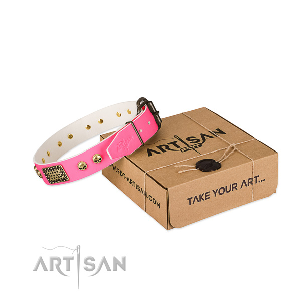 Durable decorations on dog collar for stylish walking