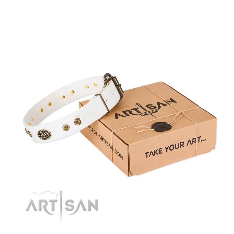 Rust resistant studs on full grain leather dog collar for your four-legged friend