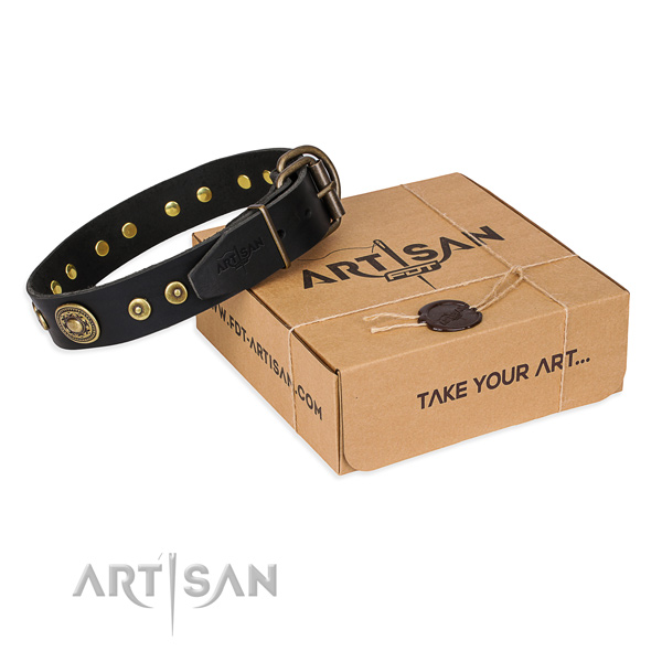 Natural genuine leather dog collar made of soft to touch material with durable fittings