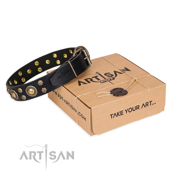 Everyday use dog collar of top notch full grain genuine leather with decorations