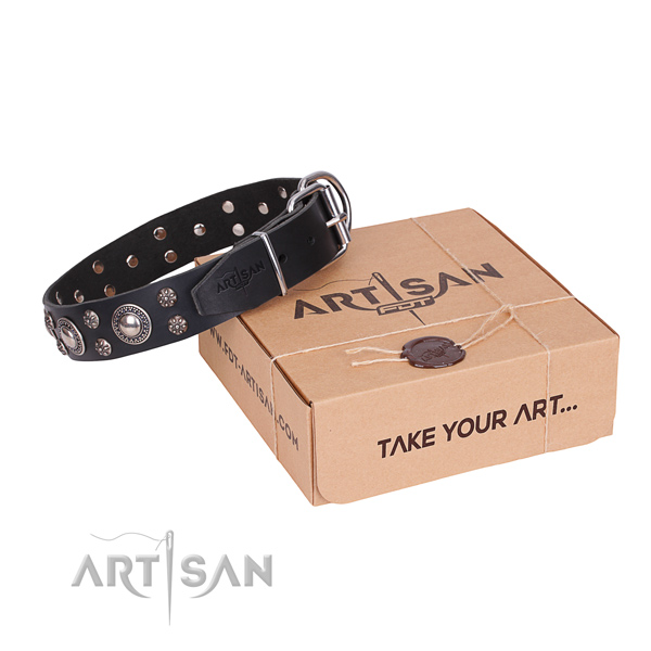 Stylish walking dog collar of best quality natural leather with adornments