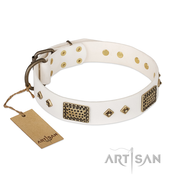 Extraordinary genuine leather dog collar for everyday use