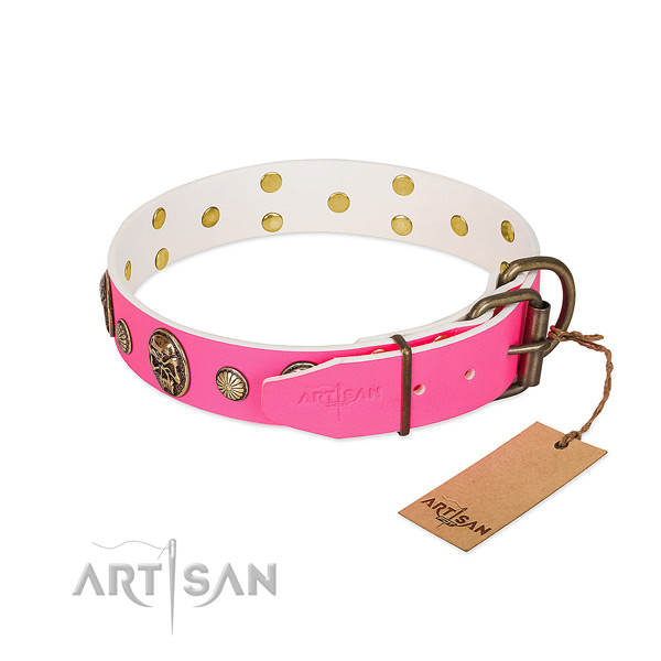 Rust-proof studs on full grain genuine leather dog collar for your doggie