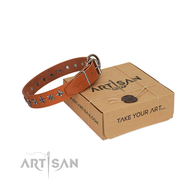 Basic training dog collar of high quality full grain genuine leather with studs