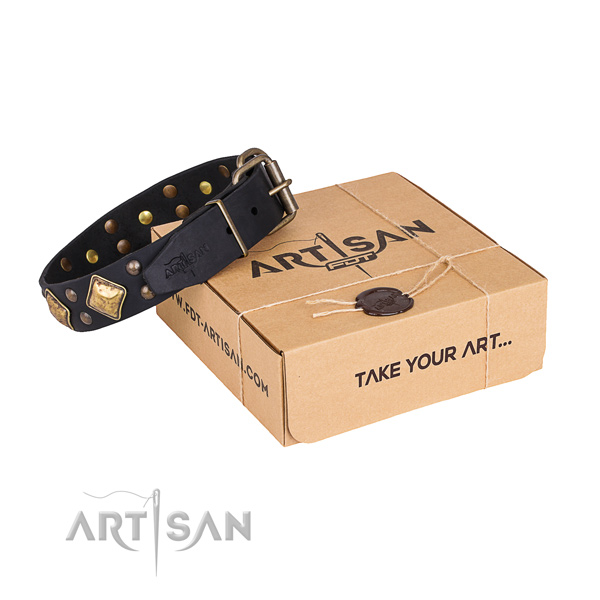 Fancy walking dog collar with Extraordinary rust-proof decorations