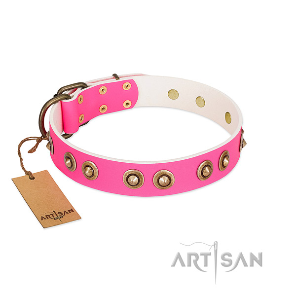Handmade full grain leather dog collar for stylish walking