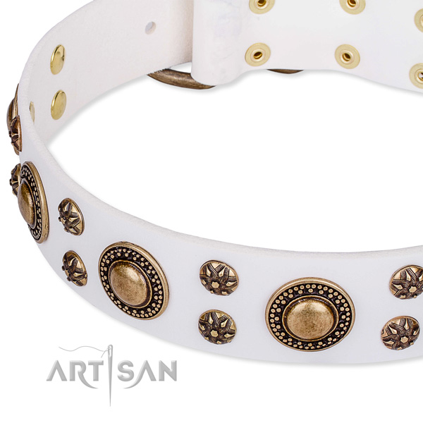 Stylish walking adorned dog collar of strong genuine leather
