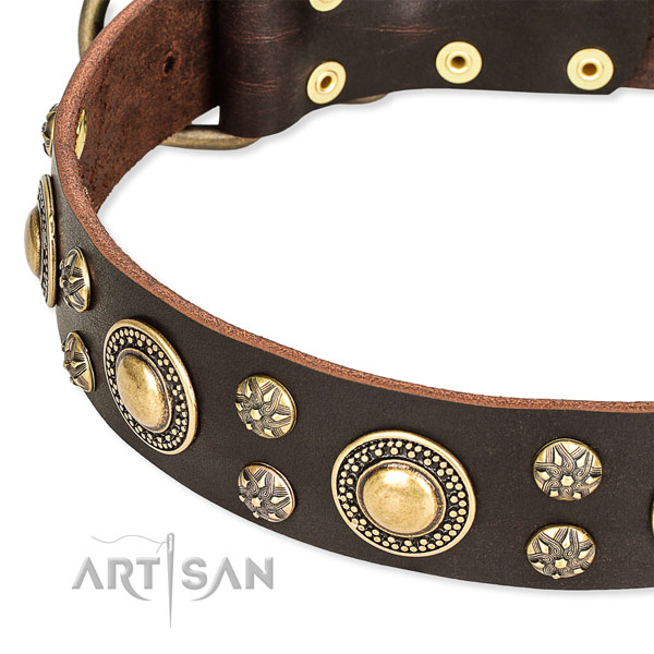 Handy use decorated dog collar of high quality full grain genuine leather