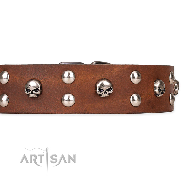 Handy use studded dog collar of finest quality genuine leather