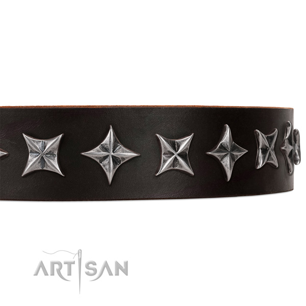 Daily walking adorned dog collar of strong full grain genuine leather