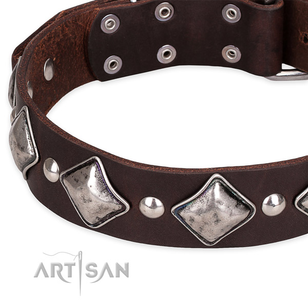 Fancy walking decorated dog collar of strong leather