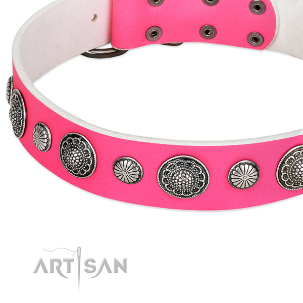 Full grain genuine leather collar with rust resistant hardware for your impressive four-legged friend