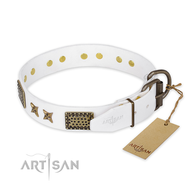 Durable D-ring on leather collar for your stylish doggie