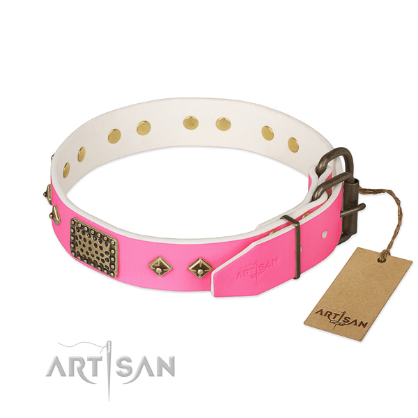 Rust-proof embellishments on everyday walking dog collar
