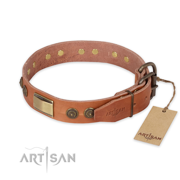 Strong buckle on full grain leather collar for daily walking your canine