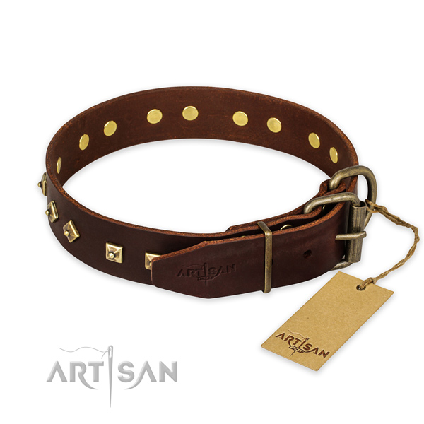 Corrosion resistant fittings on full grain genuine leather collar for walking your dog