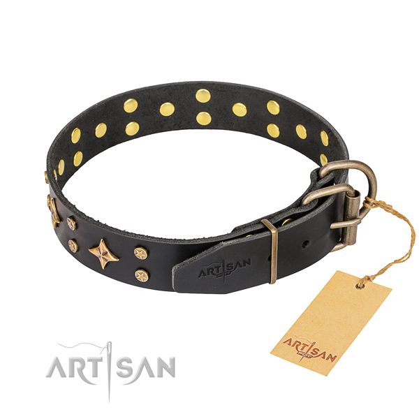 Daily walking studded dog collar of high quality full grain genuine leather