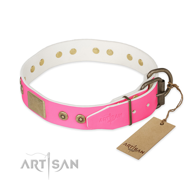 Corrosion proof traditional buckle on easy wearing dog collar
