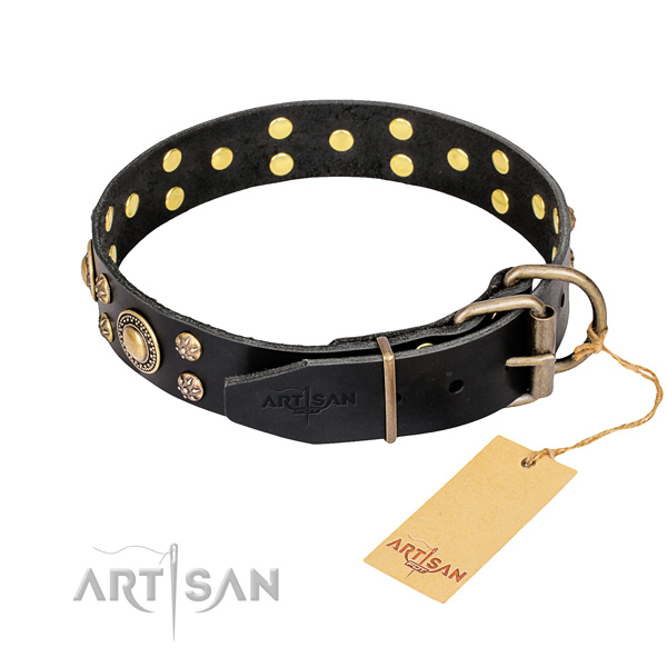 Fancy walking embellished dog collar of strong full grain natural leather