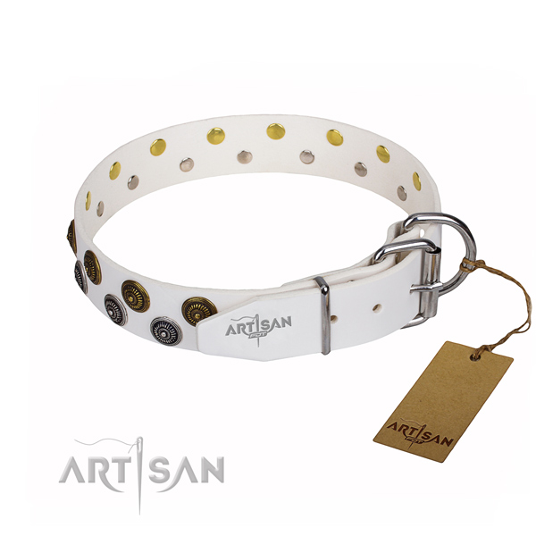 Stylish walking decorated dog collar of top quality full grain genuine leather