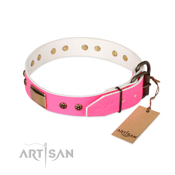 Leather dog collar with corrosion proof fittings and decorations