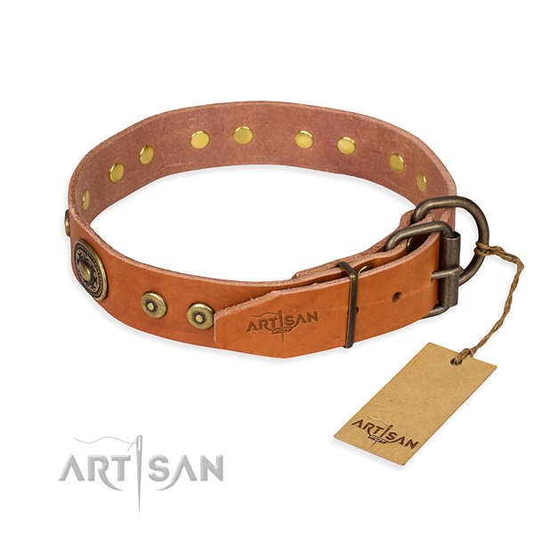 Full grain leather dog collar made of reliable material with rust resistant adornments