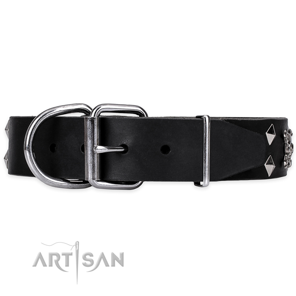 Basic training adorned dog collar of reliable full grain natural leather
