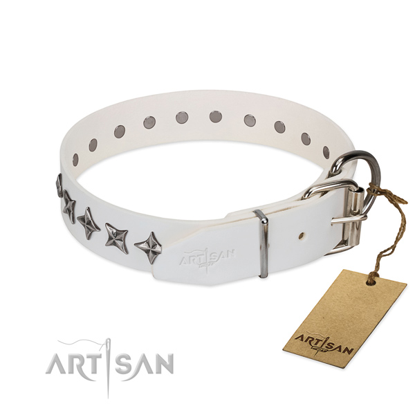 Reliable full grain natural leather dog collar with unusual studs