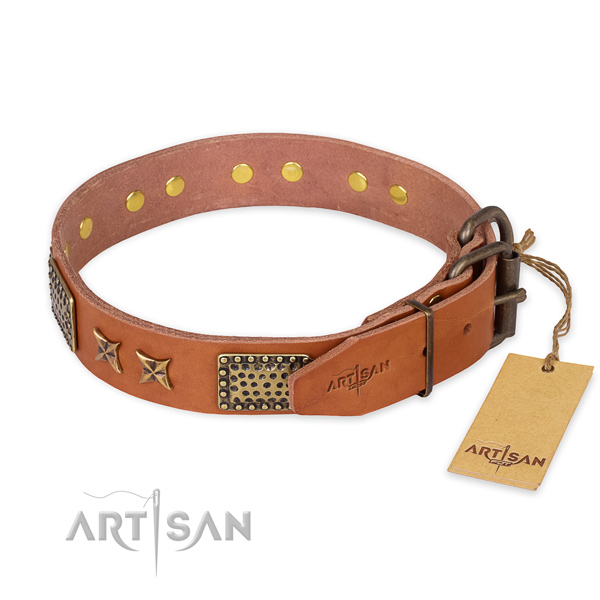 Corrosion proof D-ring on genuine leather collar for your lovely four-legged friend