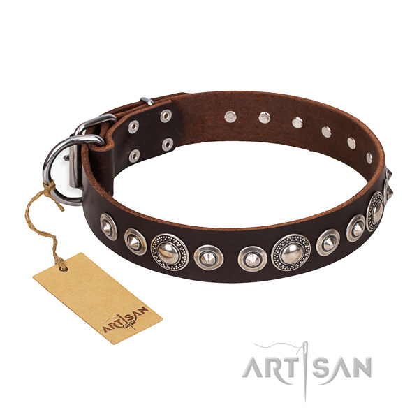 Durable studded dog collar of natural leather