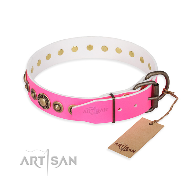 Strong leather dog collar crafted for everyday walking
