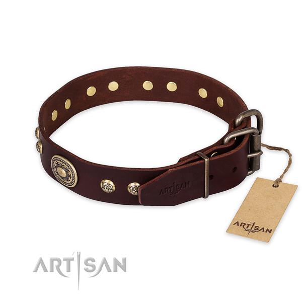 Corrosion resistant fittings on genuine leather collar for daily walking your pet