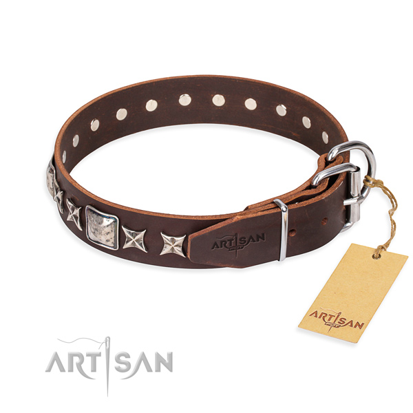 Quality embellished dog collar of leather