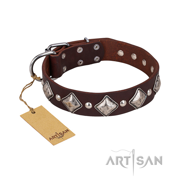 Walking dog collar of top notch leather with studs