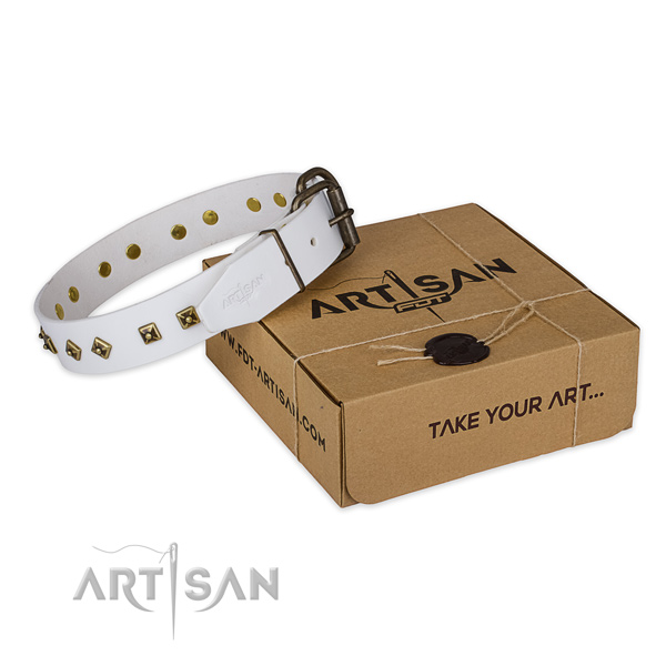 Rust-proof hardware on full grain natural leather dog collar for comfy wearing
