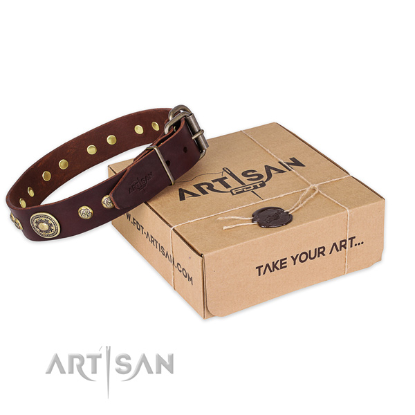 Reliable fittings on full grain leather dog collar for stylish walking