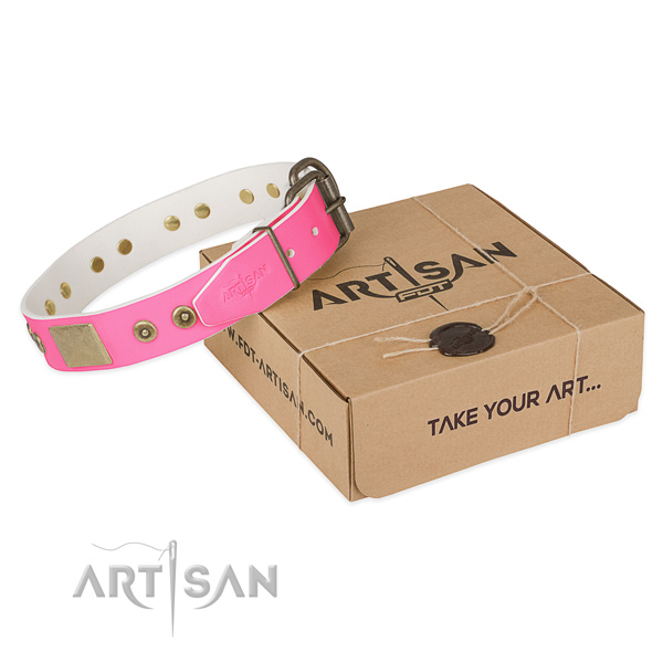 Corrosion resistant D-ring on dog collar for everyday use